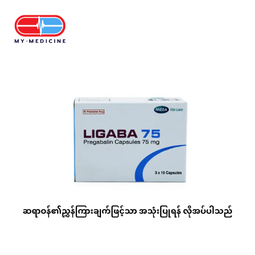 [MD131049] Ligaba 75