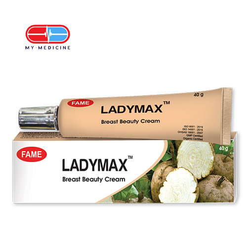 [CP040198] Fame Ladymax Breast Beauty Cream 40 g